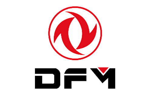 DFM